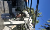 IMG_2726.jpeg 