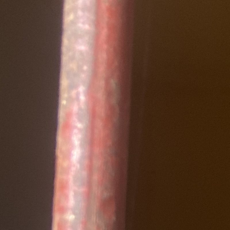 Profile picture of Stella